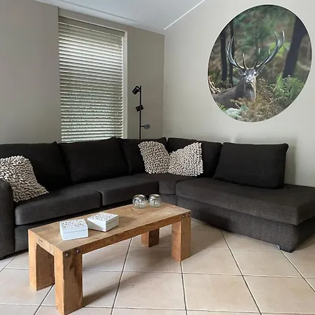 Luxe - Bos, Heide, Tuin, Privé Wellness - Veluwe *