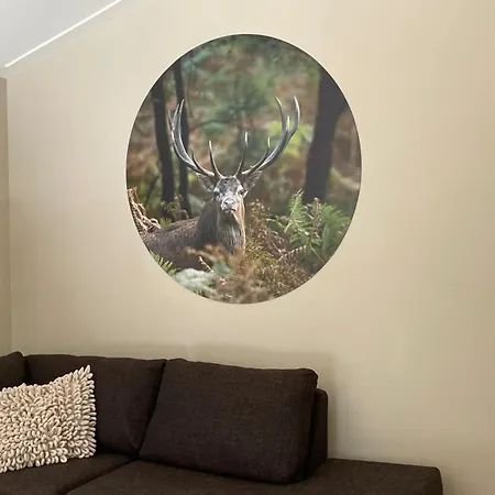 Meivakantie Op De Veluwe - Luxe Boshuis Met Privé Wellness Vakantiehuis