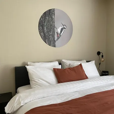 Meivakantie Op De Veluwe - Luxe Boshuis Met Privé Wellness Vakantiehuis *