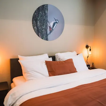 Luxe villa - Bos, Heide, Tuin, Privé Wellness - Veluwe