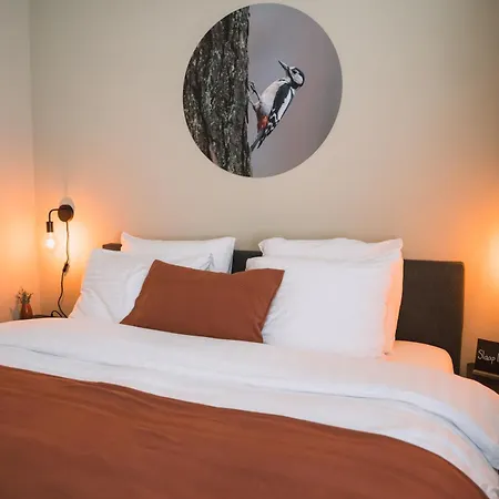 Luxe villa - Bos, Heide, Tuin, Privé Wellness - Veluwe Putten