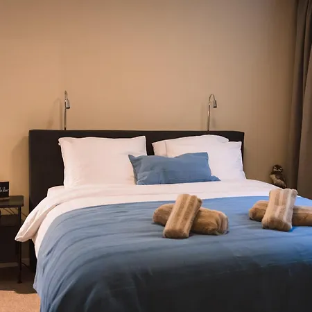 Luxe villa - Bos, Heide, Tuin, Privé Wellness - Veluwe * Putten