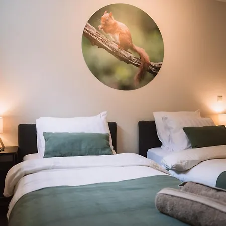 Luxe villa - Bos, Heide, Tuin, Privé Wellness - Veluwe