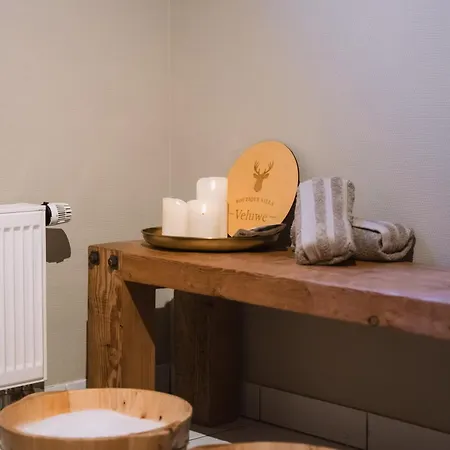 Luxe villa - Bos, Heide, Tuin, Privé Wellness - Veluwe