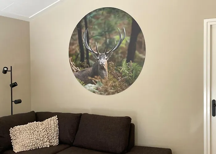 Meivakantie Op De Veluwe - Luxe Boshuis Met Privé Wellness Vakantiehuis